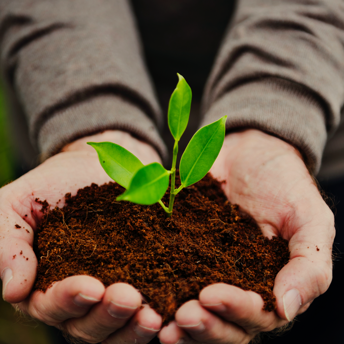 The Amazing Benefits of Humic Acids in Soil