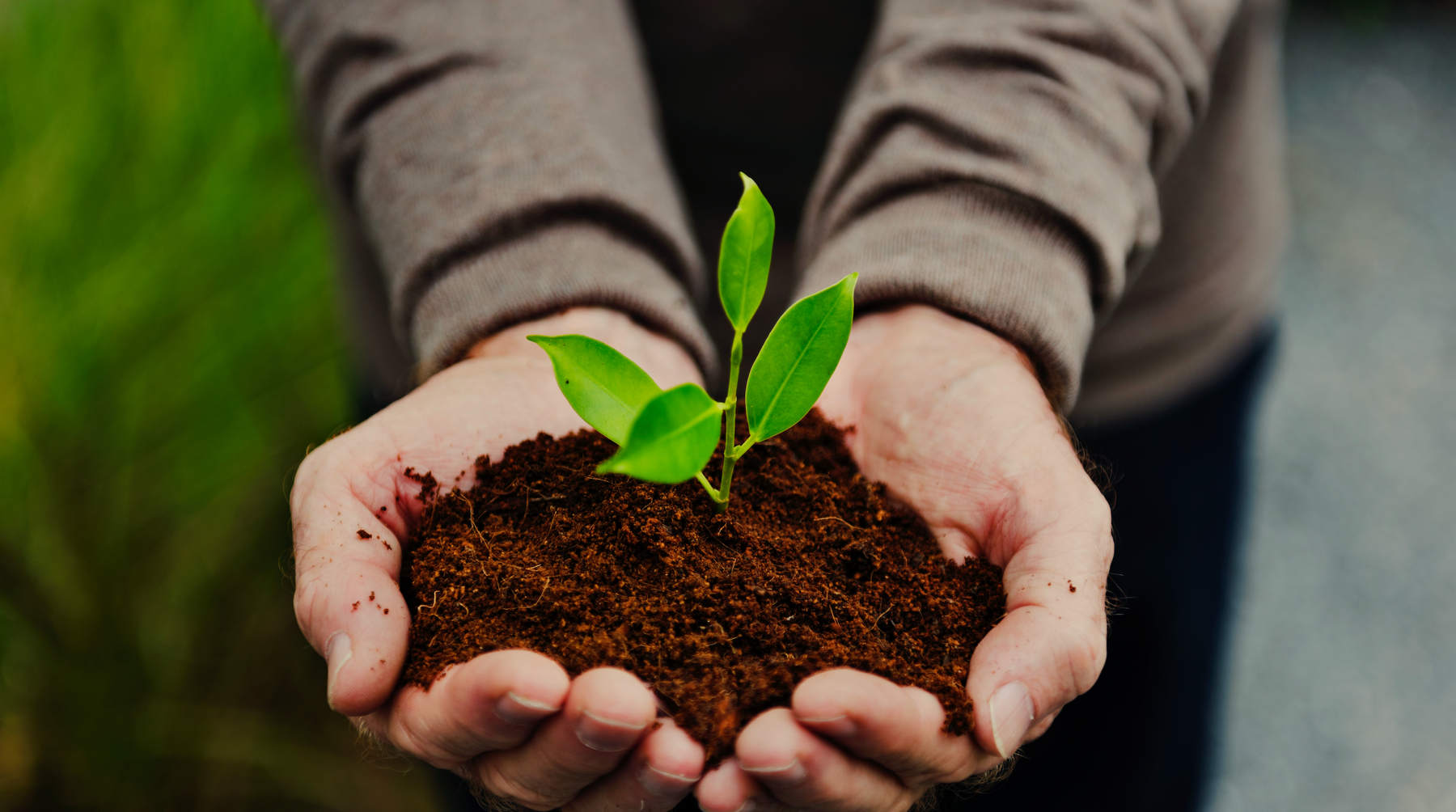 The Amazing Benefits of Humic Acids in Soil