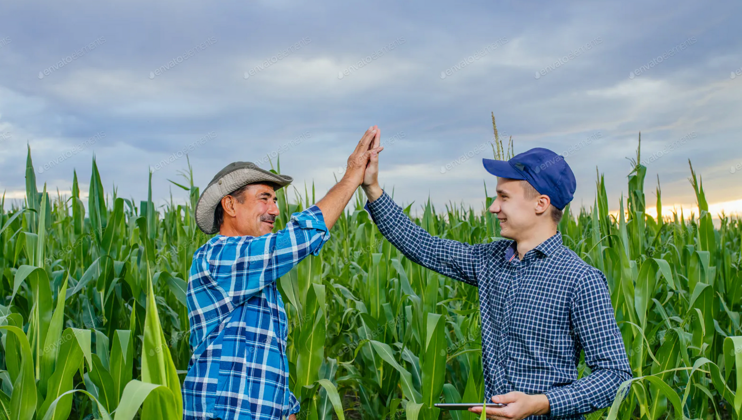 The Future of Family Farming